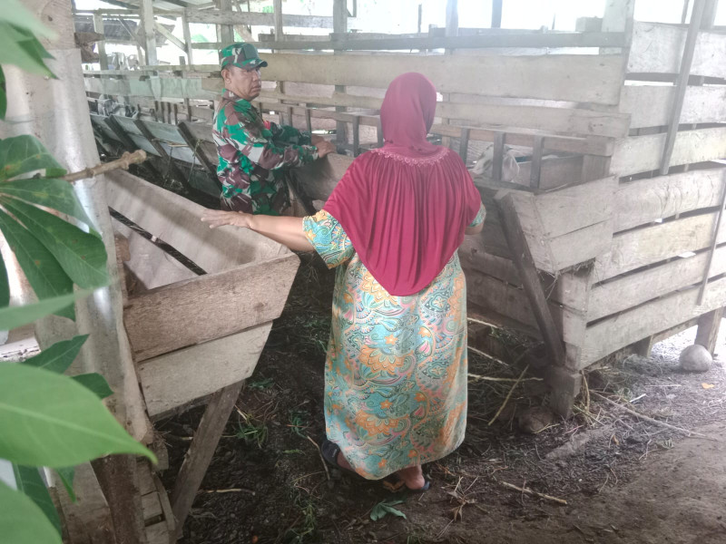 Babinsa Sertu Mahyudin Ajak Warga Kelurahan Purnama Cegah Penyakit Mulut dan Kuku