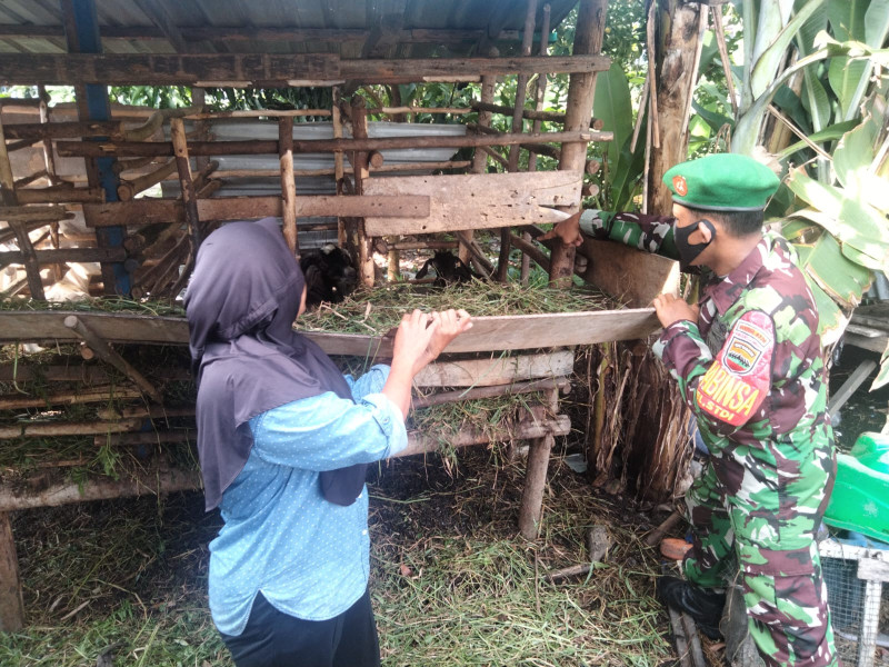 Sertu Sugianto Berikan Pemahaman Pencegahan PMK