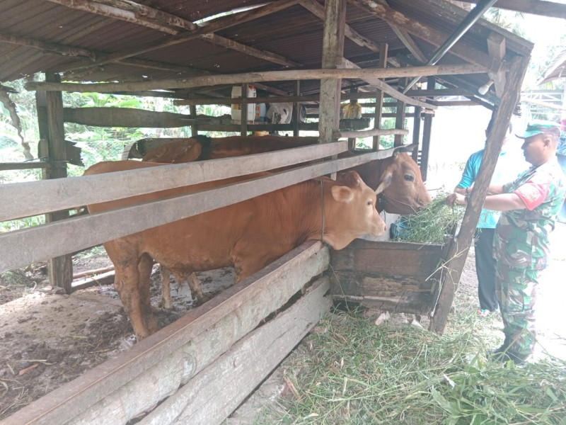 Serda Bambang Irwanto Sambangi Peternak, Ini Yang Disampaikan