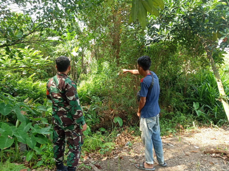 Cegah Karhutla, Sertu Boby Rahman Laksanakan Sosialisasi