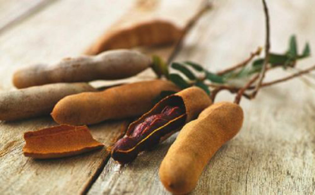 Kontrol Diabetes dan Cegah Malaria, Ini Deretan Manfaat Asam Jawa