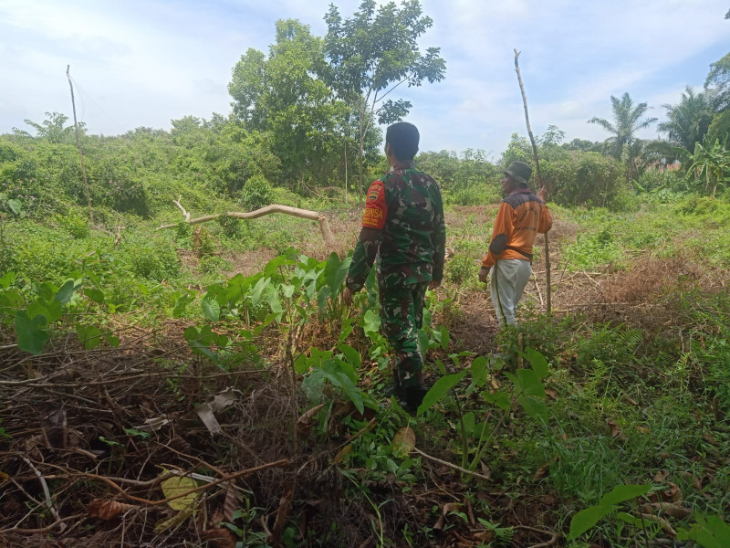 Langkah Konkrit Babinsa Koramil 01 Antisipasi Karhutla