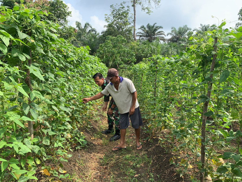 Serka Tomy Melaksanakan Sosialisasi Pencegahan Karhutla dan Pendampingan Karya Nyata