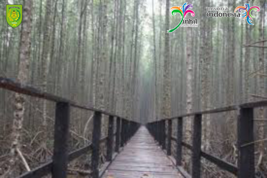 Ekowisata Hutan Mangrove Sungai Asam