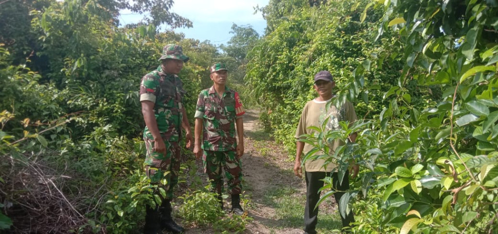 Peninjauan Wilayah Dalam Rangka Cegah Karhutla Oleh Babinsa Koramil 06 Merbau