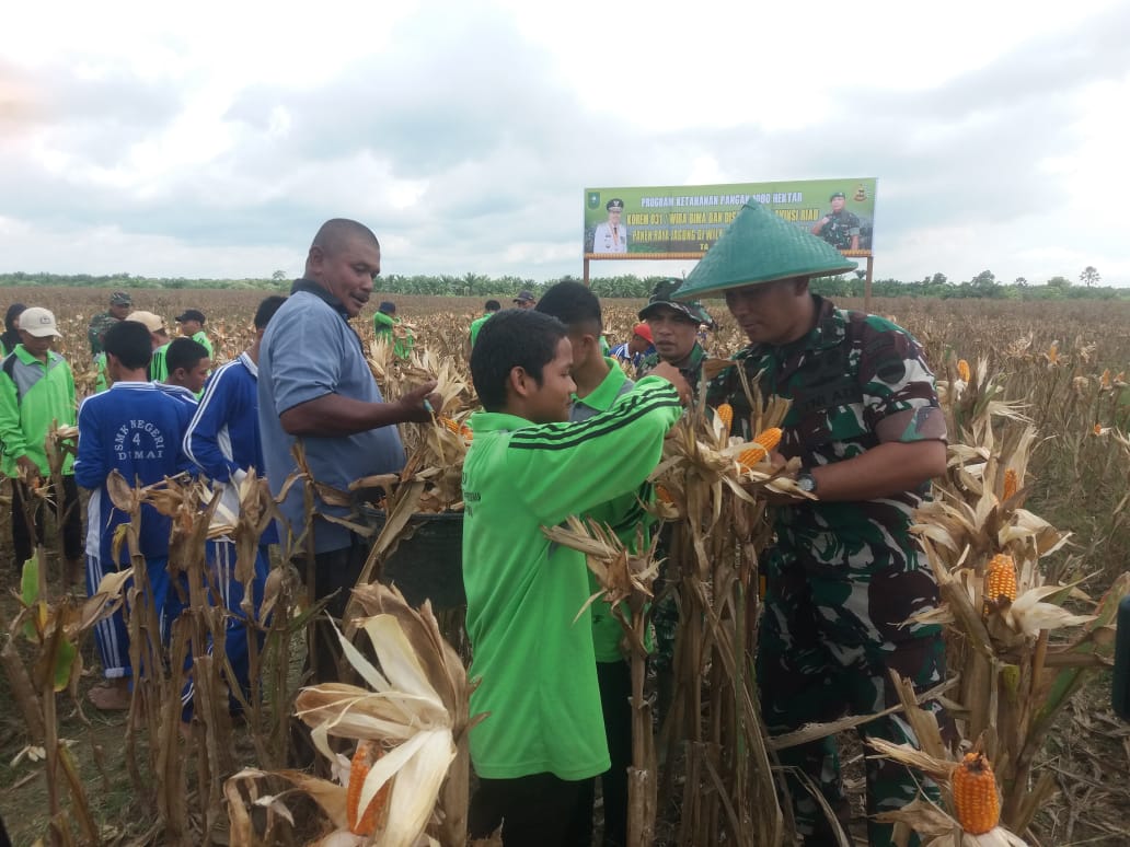 Kodim 0320/Dumai Gelar Panen Raya