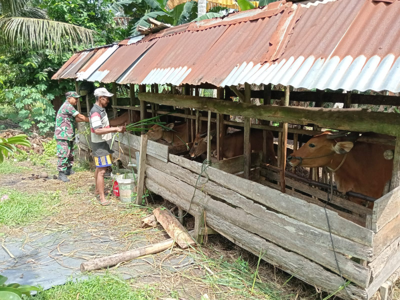 Serma Sukardi Laksanakan Penanggulangan PMK