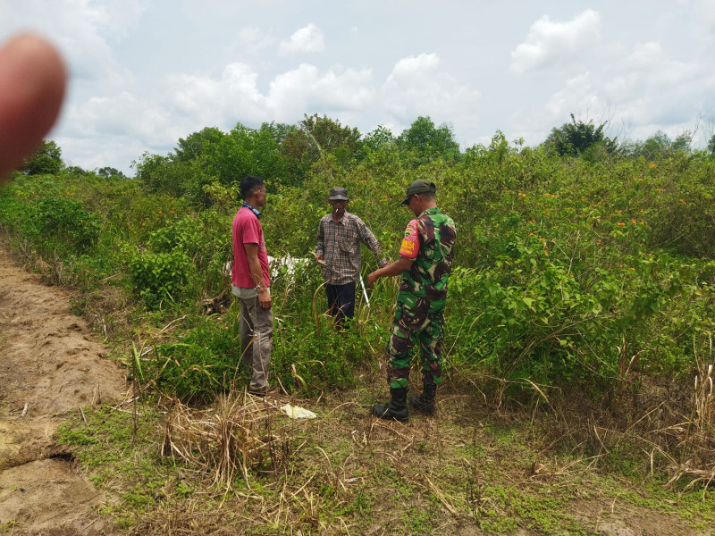 Babinsa Kelurahan Ratu Sima Gelar Patroli Cegah Karhutla di Wilayah Rawan