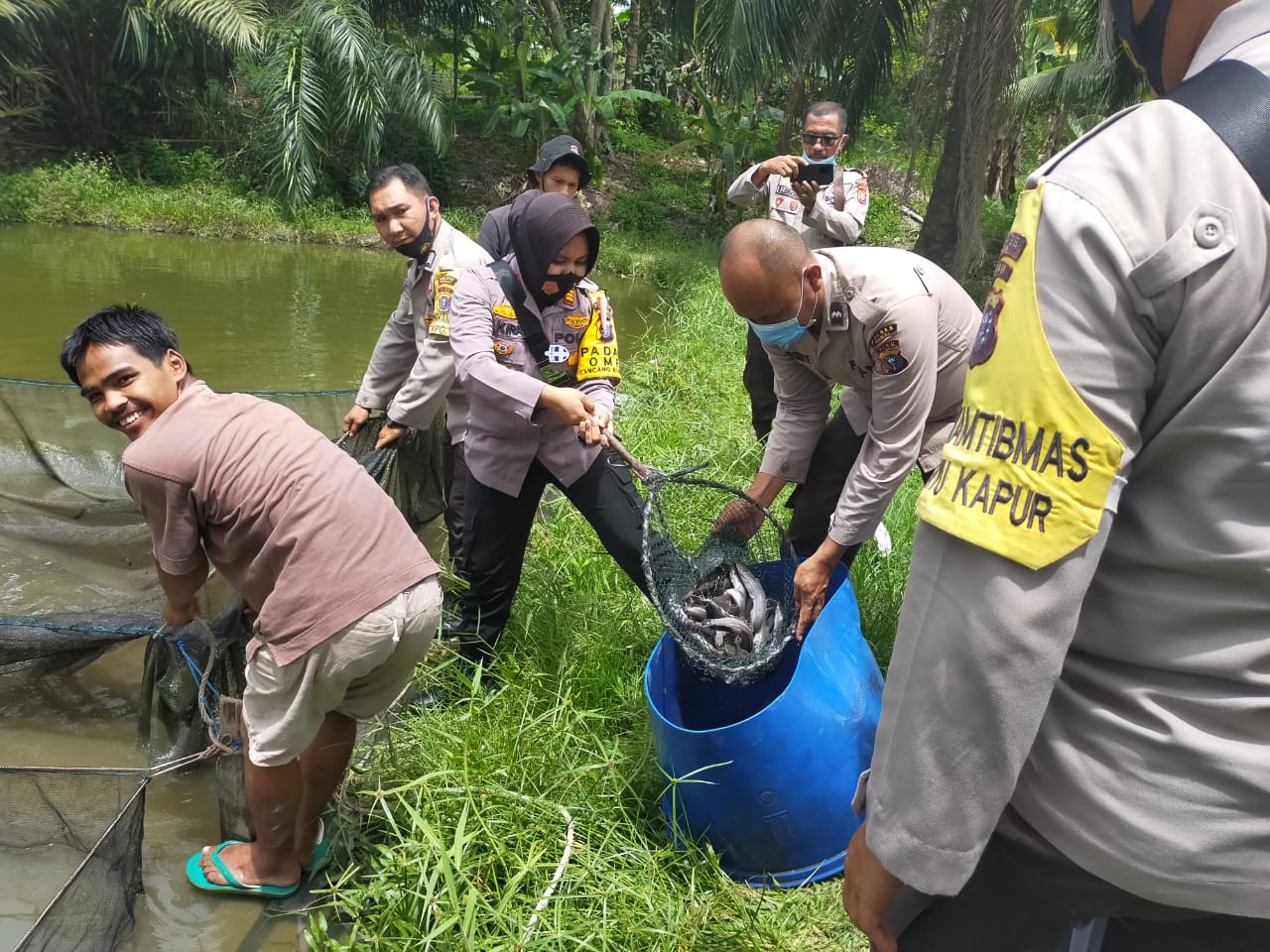 Polsek Bukit Kapur Laksanakan Panen Ikan Lele Bersama Warga