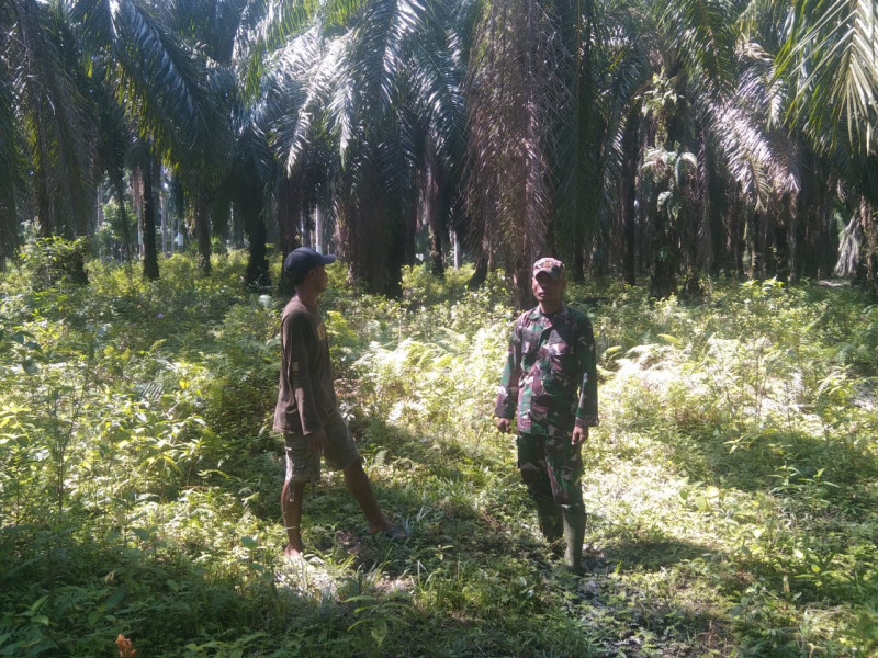 Babinsa Koramil 03 Sosialisasikan Pencegahan Karhutla di Wilayah Binaan