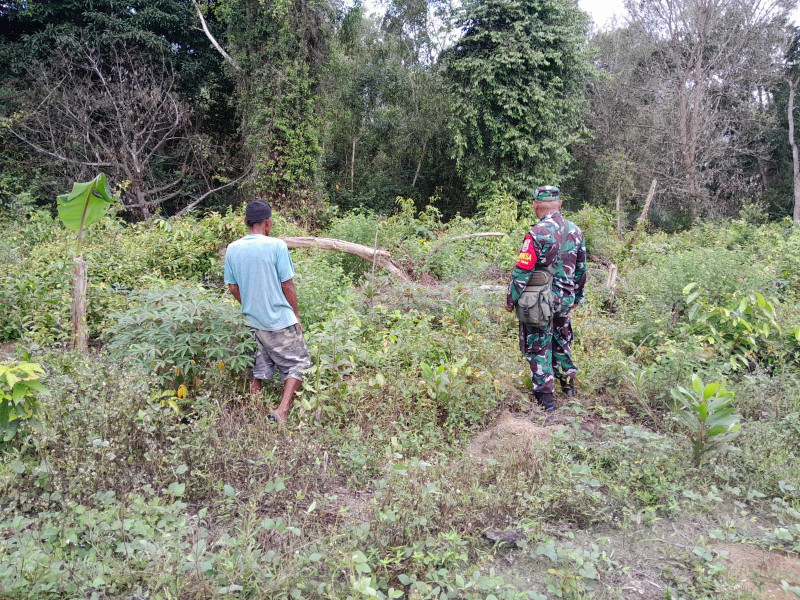 Koramil-01/Dumai Intensifkan Patroli Cegah Karhutla di RT 06