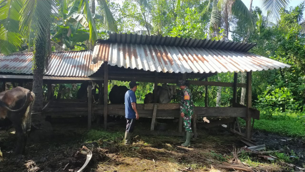 Serda Iwan Sahputra Berikan Kiat Pencegahan PMK