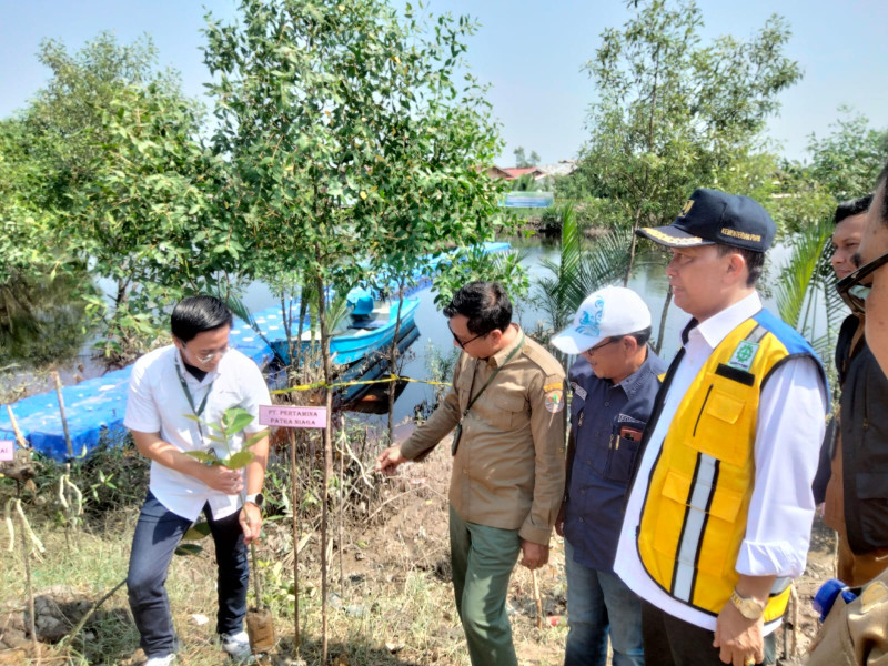 PT. PERTAMINA PATRA NIAGA Bersama MALAYA R & D Lakukan Penanaman Mangrove dan Pengendalian Sampah di Daerah Aliran Sungai Dumai
