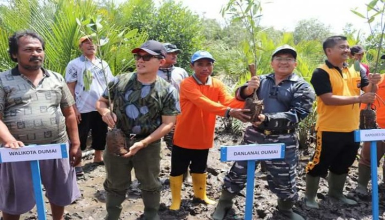 500 Bibit Mangrove Ditanam di Kawasan Kampung Wisata Bahari Kota Dumai