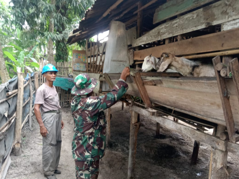 Sosialisasi Oleh Serka Suandi Kepada Peternak