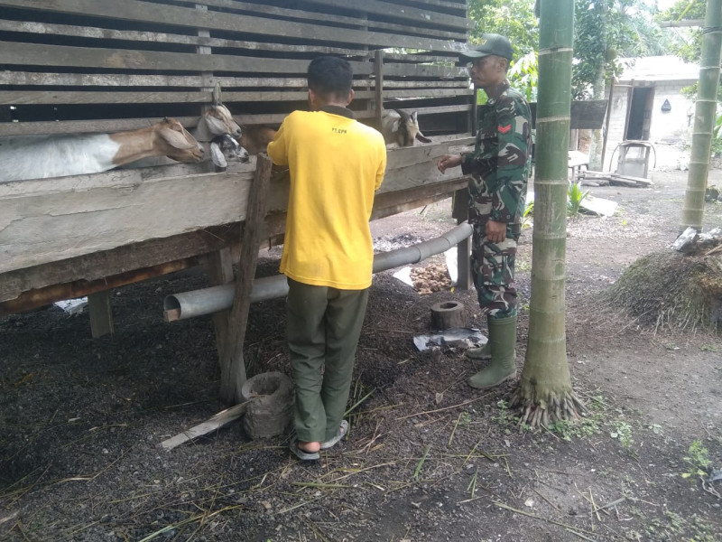 Antisipasi PMK, Koptu Erwan Berikan Edukasi