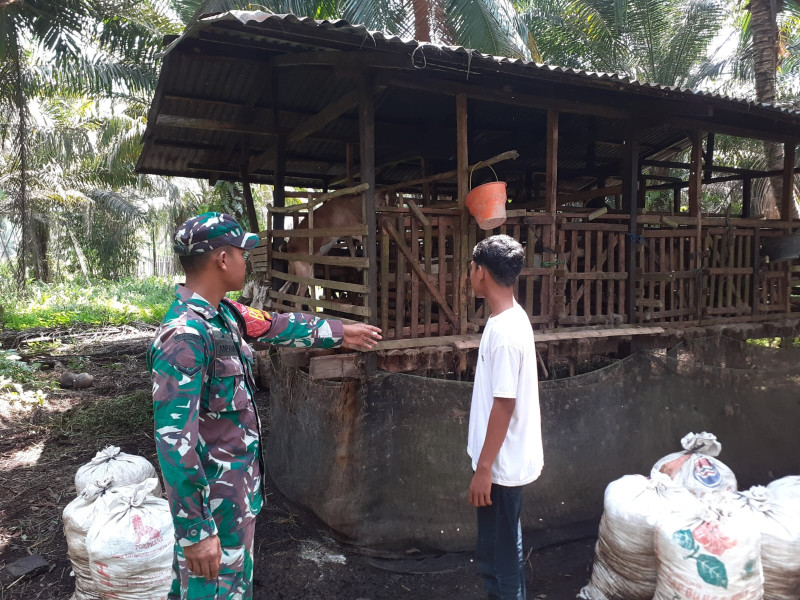 Giat Pelaksanaan Pencegahan PMK Oleh Serda Andri Widodo