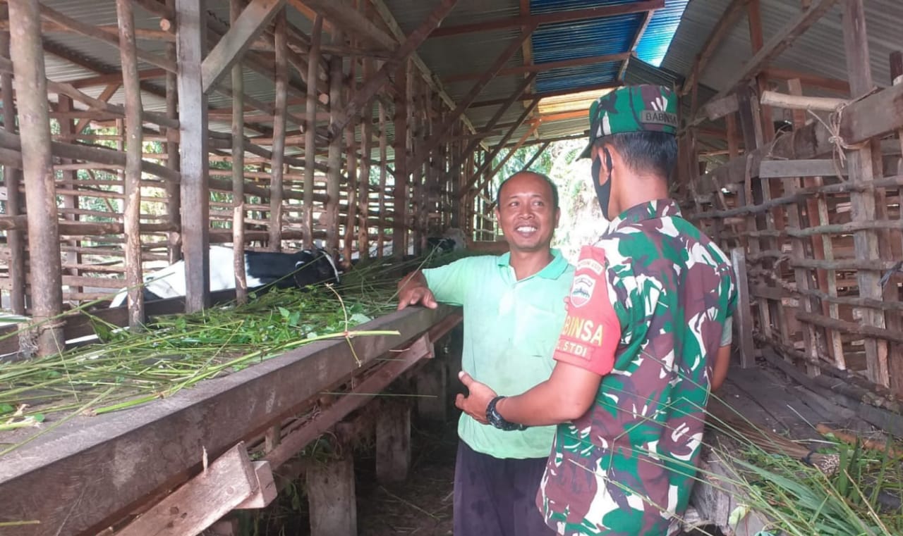 Cegah PMK, Sertu Sugianto Datangi Peternakan Kambing Milik Warga