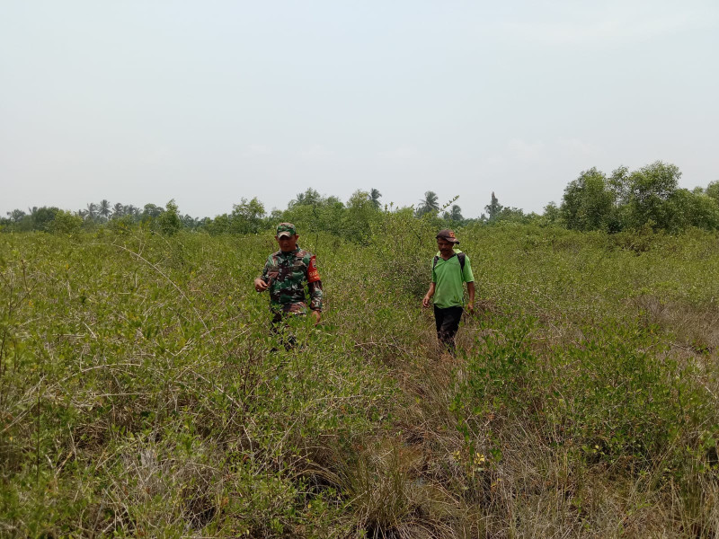 Mulai Kemarau, Sertu Jainal Arifin Laksanakan Patroli Cegah Karhutla
