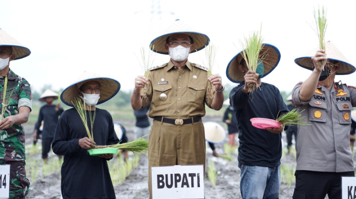 Bupati HM Wardan Nyatakan Inhil Siap Sukseskan Ketahanan Pangan 1000 Hektar