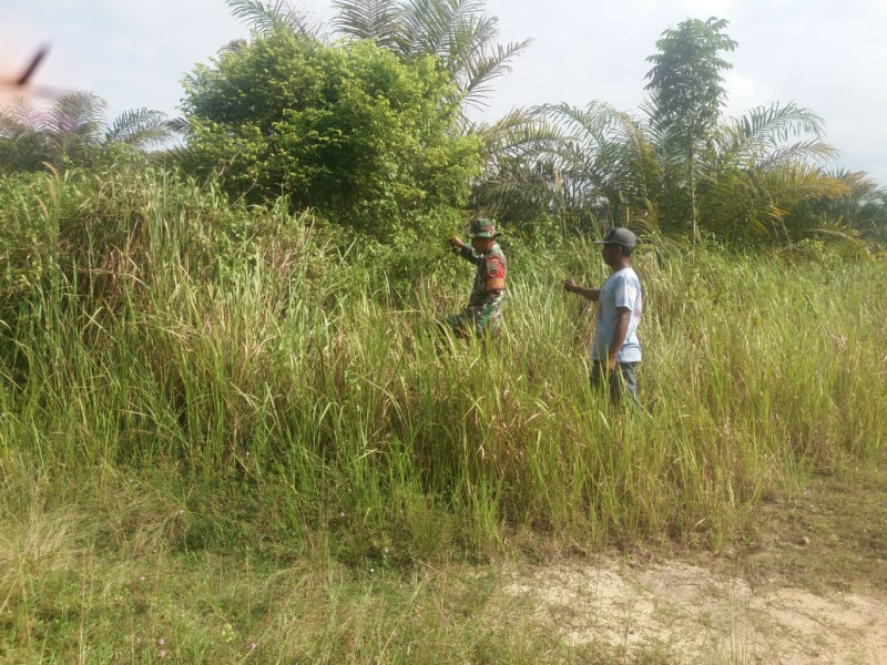 Sertu Nono Melaksanakan Kegiatan Patroli Cegah Karhutla (Kebakaran Hutan Dan Lahan)