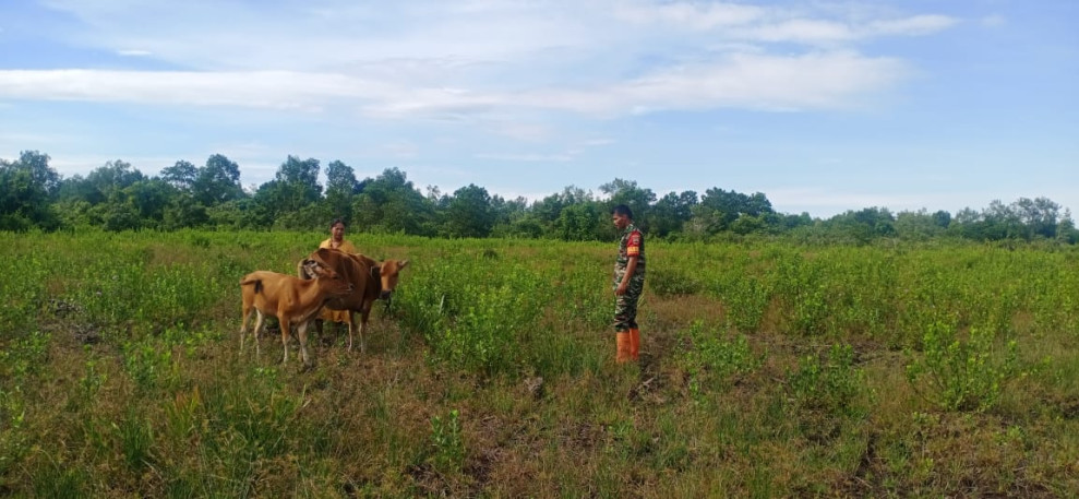 Serda CJ Silalahi Menjelaskan Kepada Masyarakat Terkait Pencegahan PMK