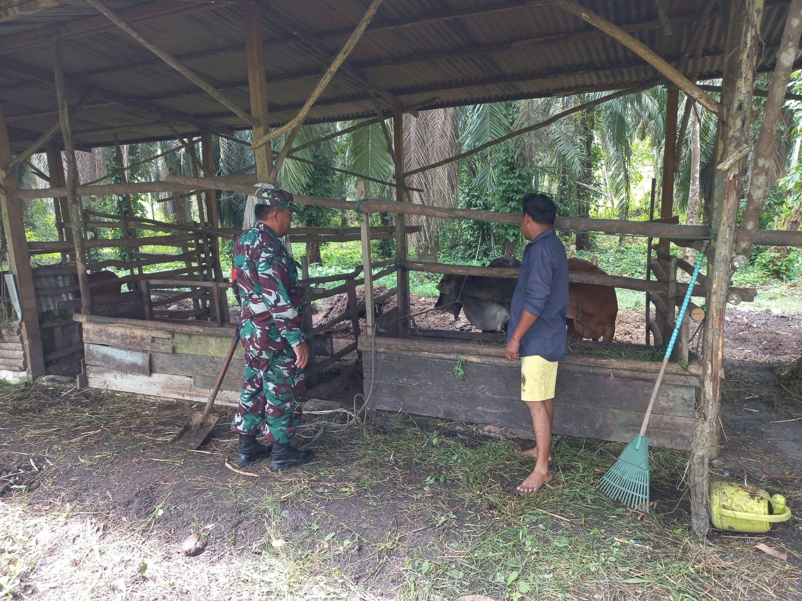 Serda Roni Sandra Melaksanakan Giat Cegah PMK
