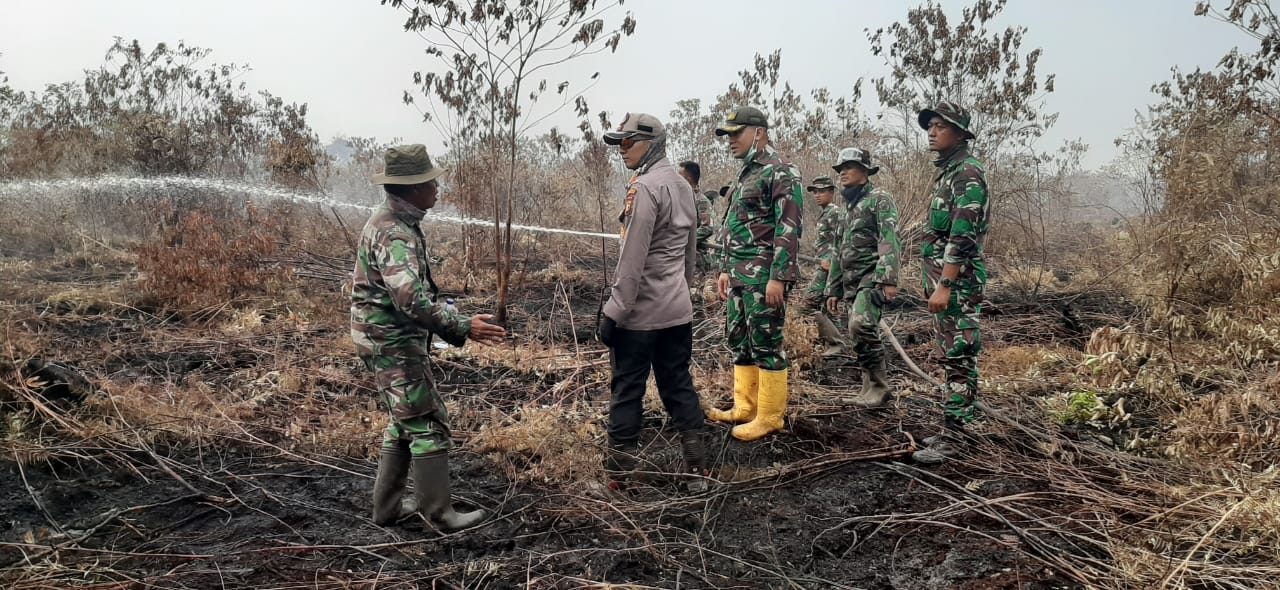 Dandim dan Kapolres Dumai Tinjau Lokasi Karhutla