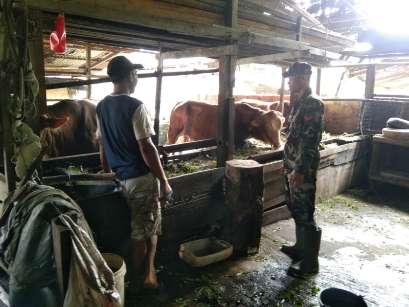 Koptu Erwan Menyambangi Salah Satu Peternakan di Wilayah Binaannya