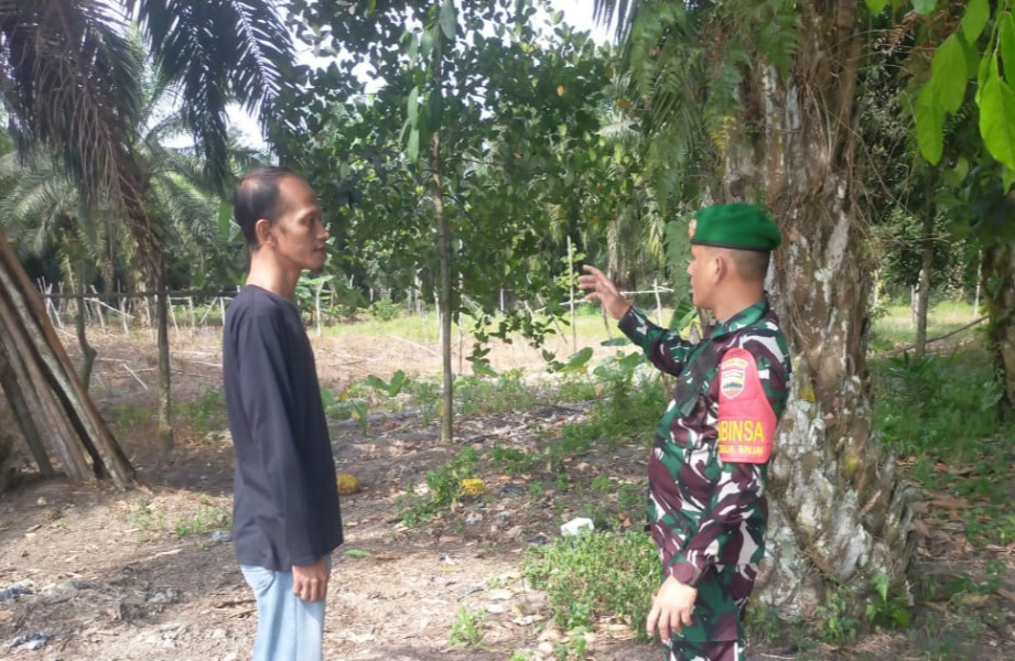 Babinsa Teluk Binjai Gelar Patroli Karhutla dan Pendampingan Tanaman Jeruk
