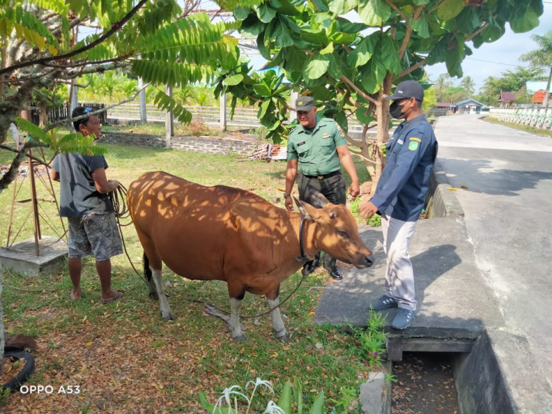 Serda Ansari Cek Kesehatan Hewan Ternak di Wilayah Binaannya