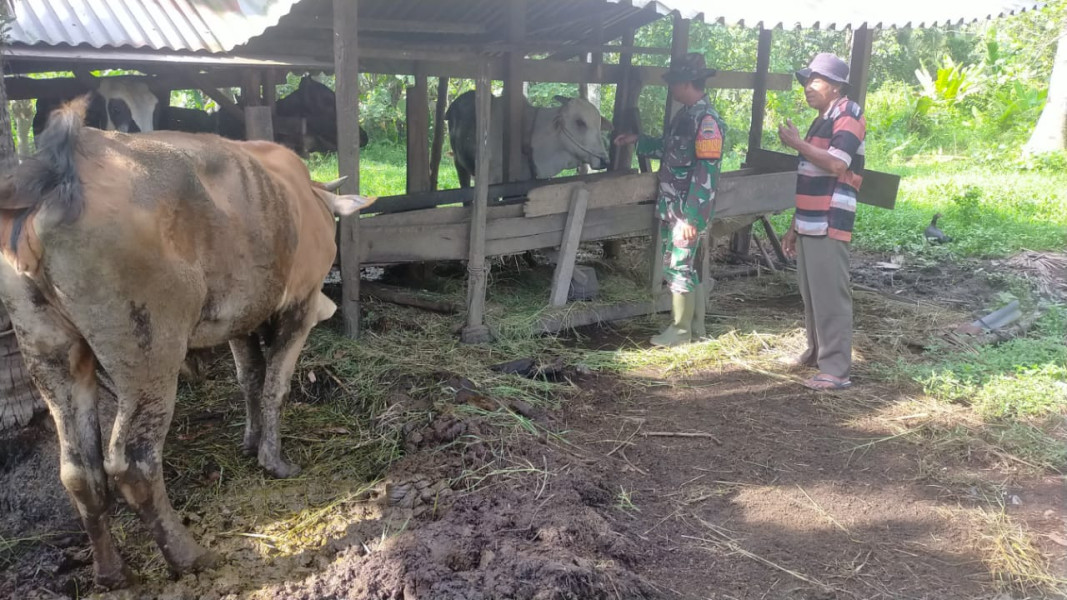 Serda Iwan Sahputra Babinsa Koramil 03 SS Gencarkan Sosialisasi Pencegahan Penyakit Mulut dan Kuku di Wilayah Binaannya