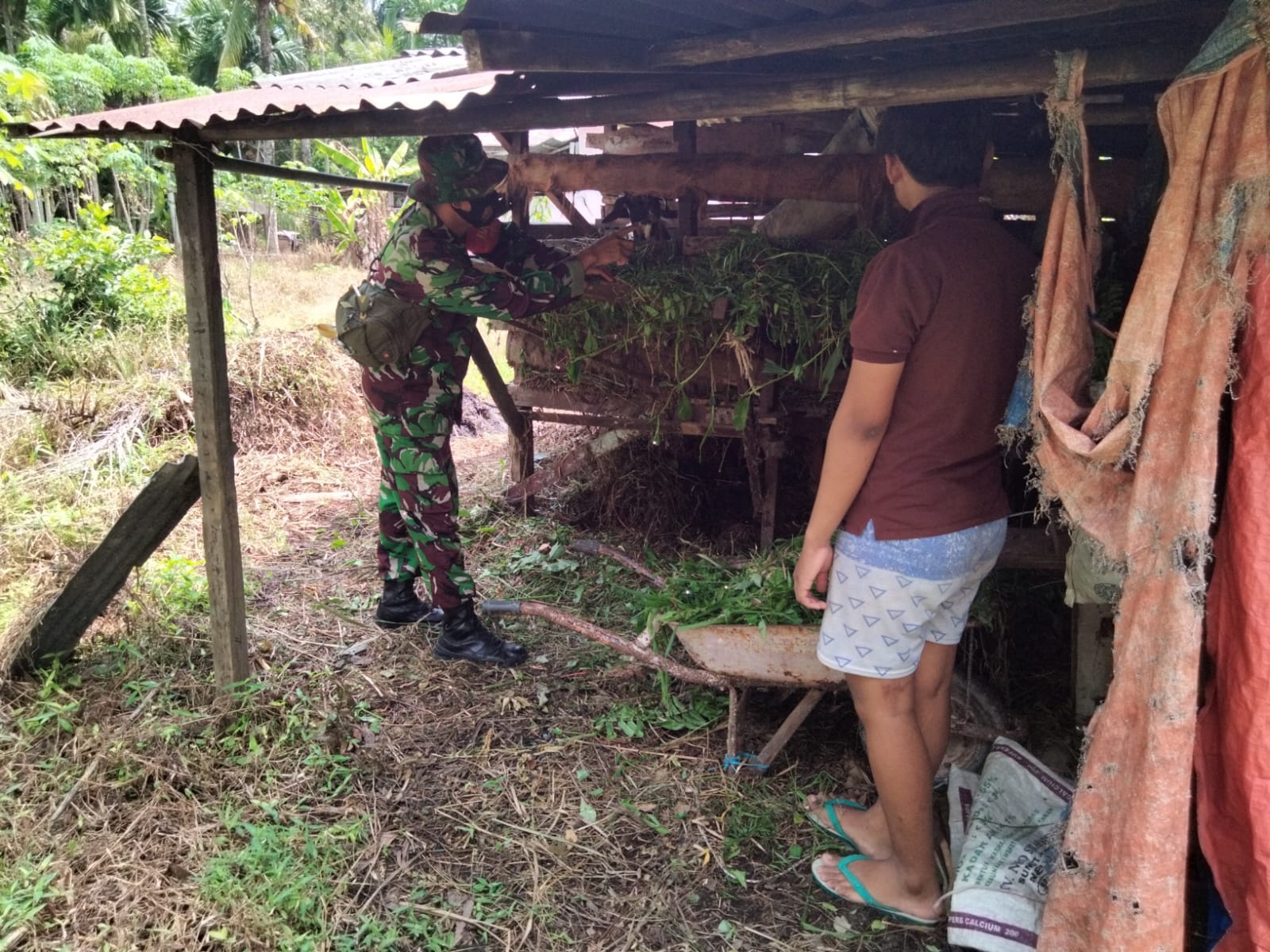 Giat Pencegahan PMK Terus Dilakukan Oleh Kodim 0320/Dumai