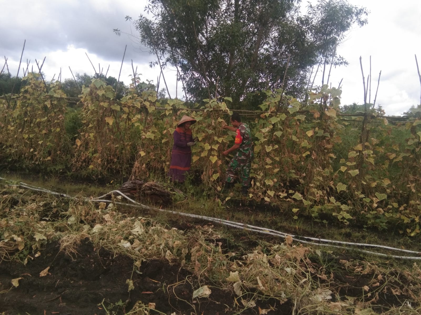 Kopda Andri Waluyo Melaksanakan Sosialisasi dan Pendampingan Karya Nyata