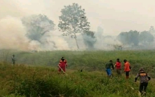 26 Tersangka Perkara Karhutla Diproses Polda Riau
