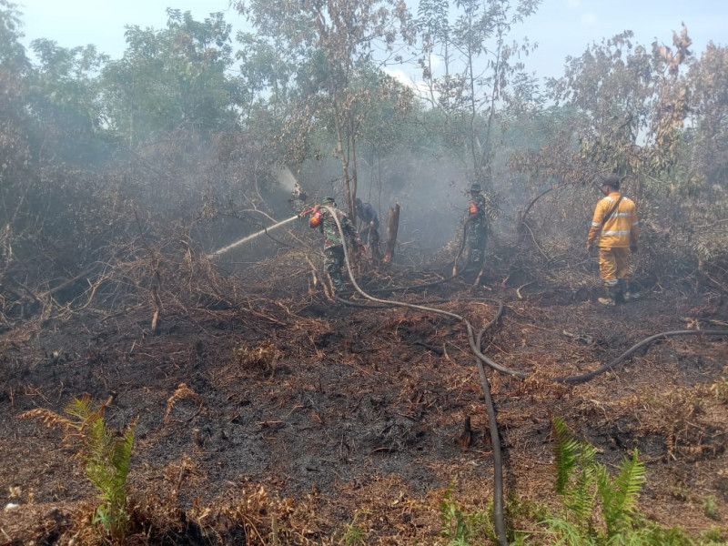 Serka Suandi Pimpin Tim dalam Upaya Pendinginan Kebakaran Lahan di Dumai Selatan
