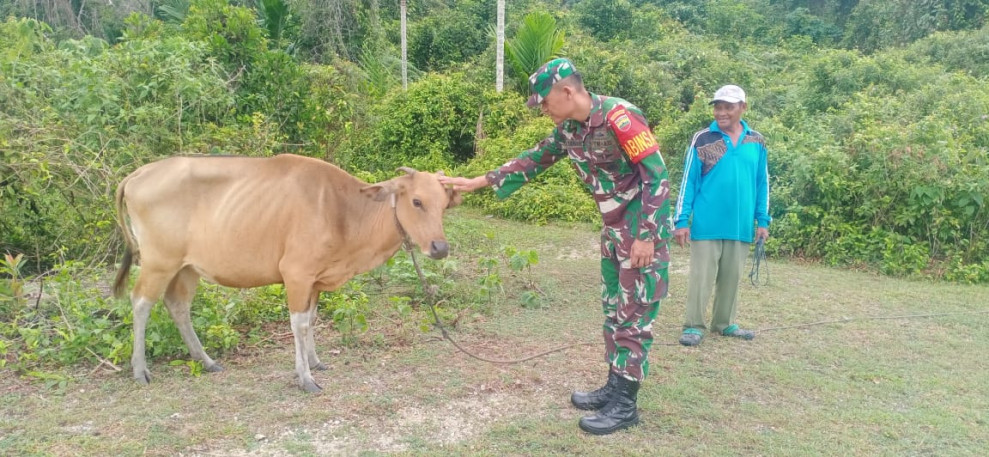 Cegah Penyebaran PMK, Serda Engki Laksanakan Patroli