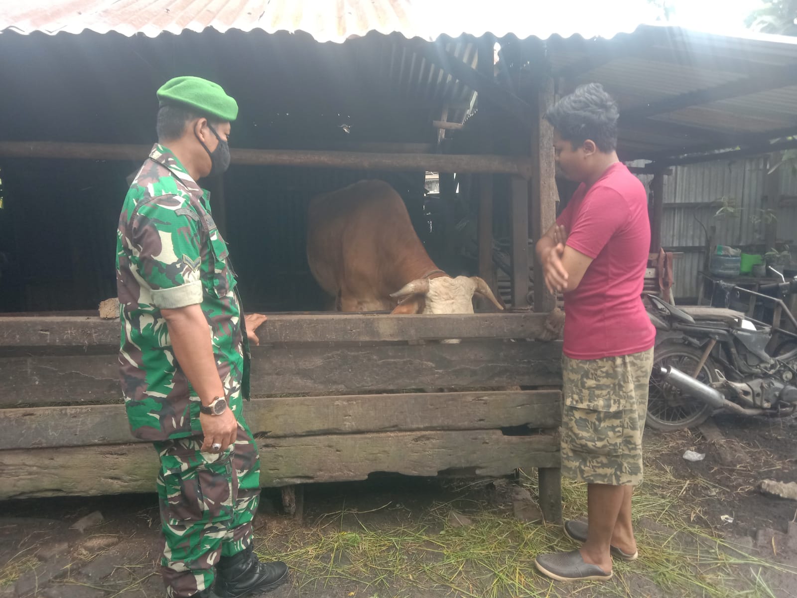 Serda Cerza Katno Pantau Peternak di Wilayahnya