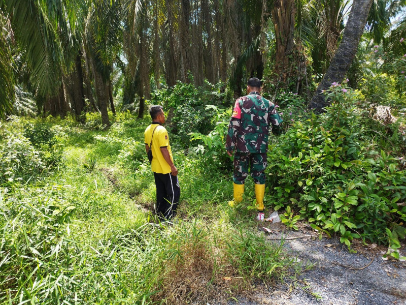 Serda Miftah Gencarkan Komsos dan Patroli untuk Cegah Karhutla di Kelurahan Batu Tritip