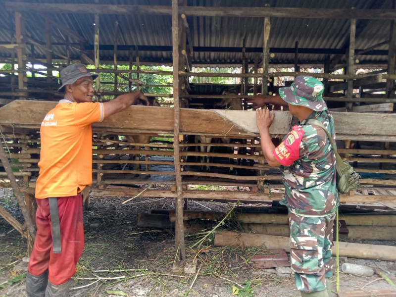 Peternak di Mekarsari Terima Pendampingan Babinsa, Serka Suandi Tekankan Kebersihan Kandang dan Kesehatan Ternak