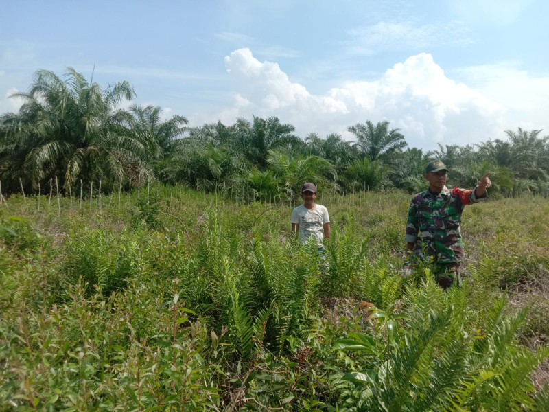 Sertu Ramli Berikan Edukasi Terkait Bahaya Karhutla