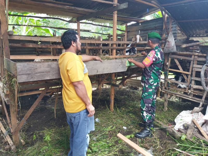 Sertu Abu Kosim Ingatkan Pentingnya Kebersihan Kandang Ternak di RT 20