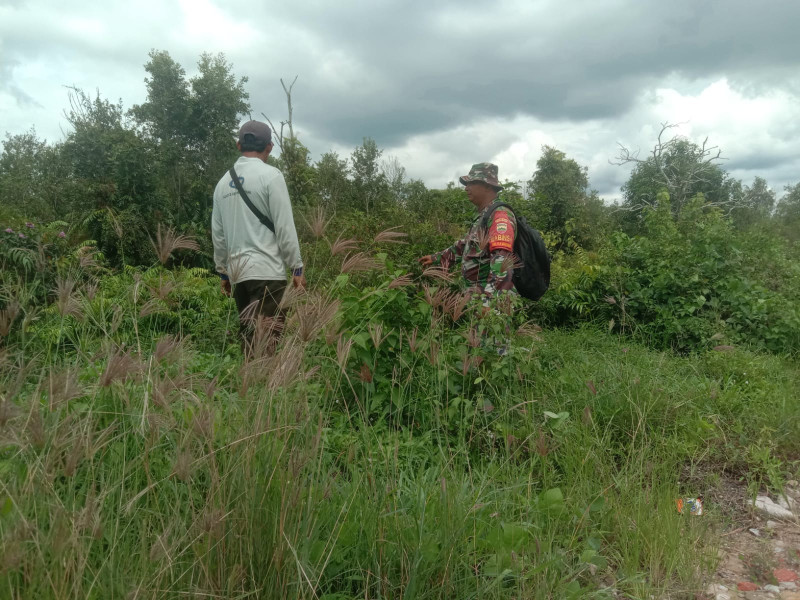 Babinsa Kelurahan Teluk Makmur Gelar Patroli Cegah Karlahut
