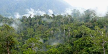 SP3 Kasus Pembakar Lahan, Bareskrim Bakal Turunkan Tim ke Riau