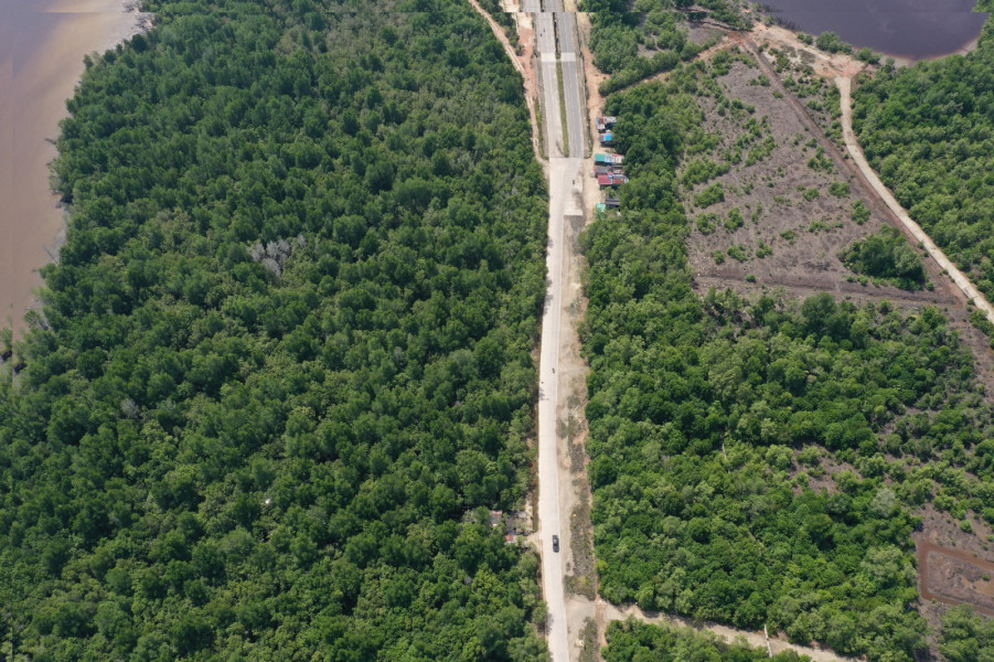 PHR Hadirkan Ecoeduwisata Bandar Bakau dan Jaga Konservasi Mangrove di Pesisir Riau
