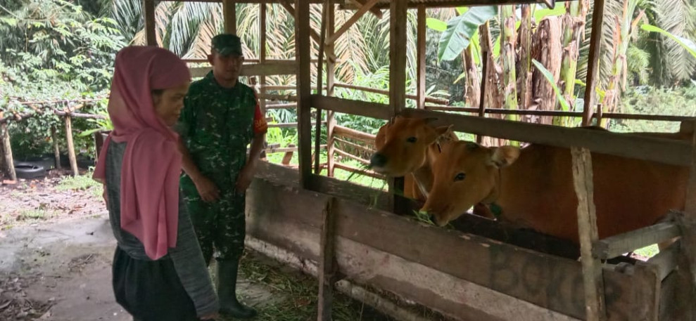 Serda Edi Saputra Laksanakan Patroli Cegah PMK