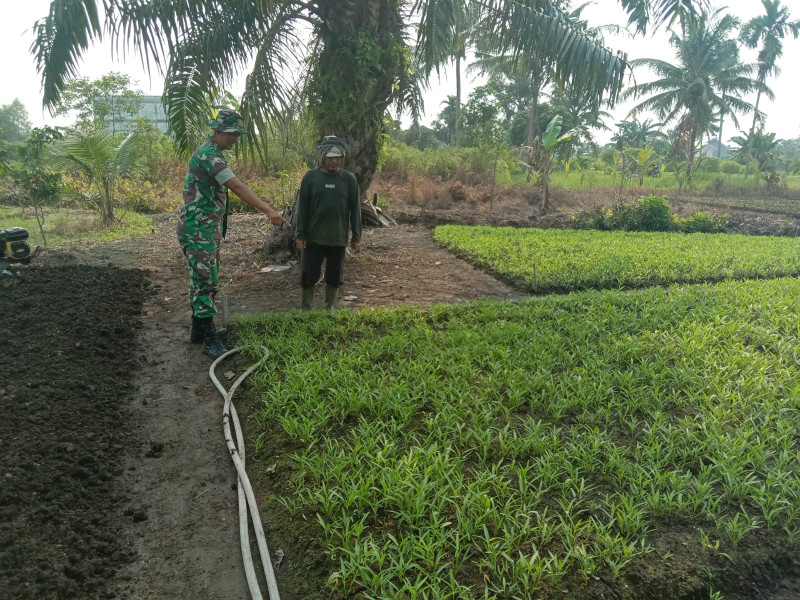 Serda Priyo Berikan Penyuluhan Terkait Tanaman Sayur Kangkung dan Bayam
