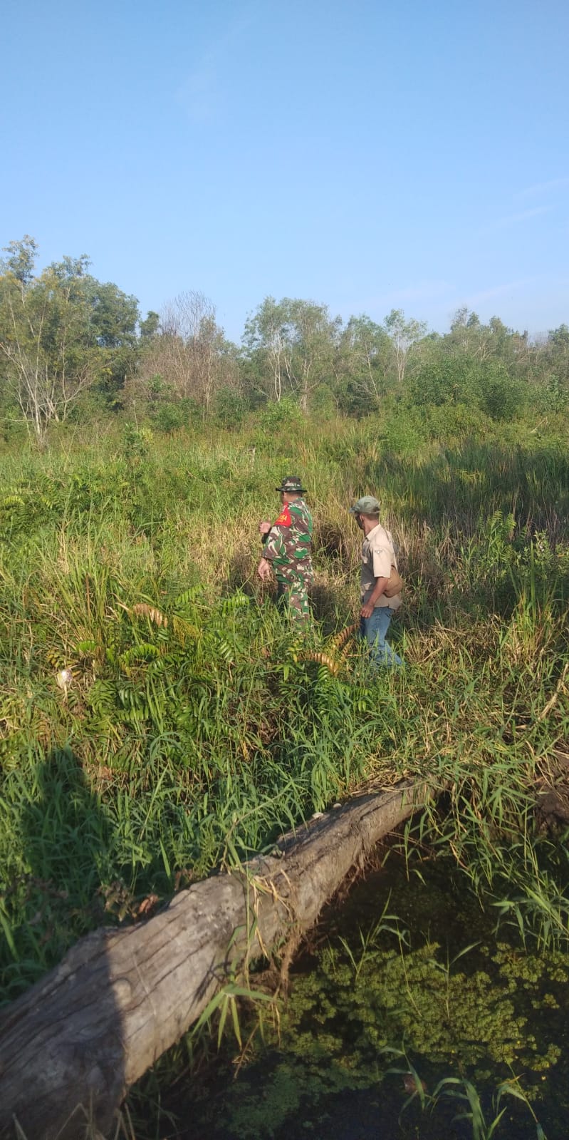 Serka Supriadi Himbau Masyarakat Jangan Buka Lahan Dengan Cara Membakar