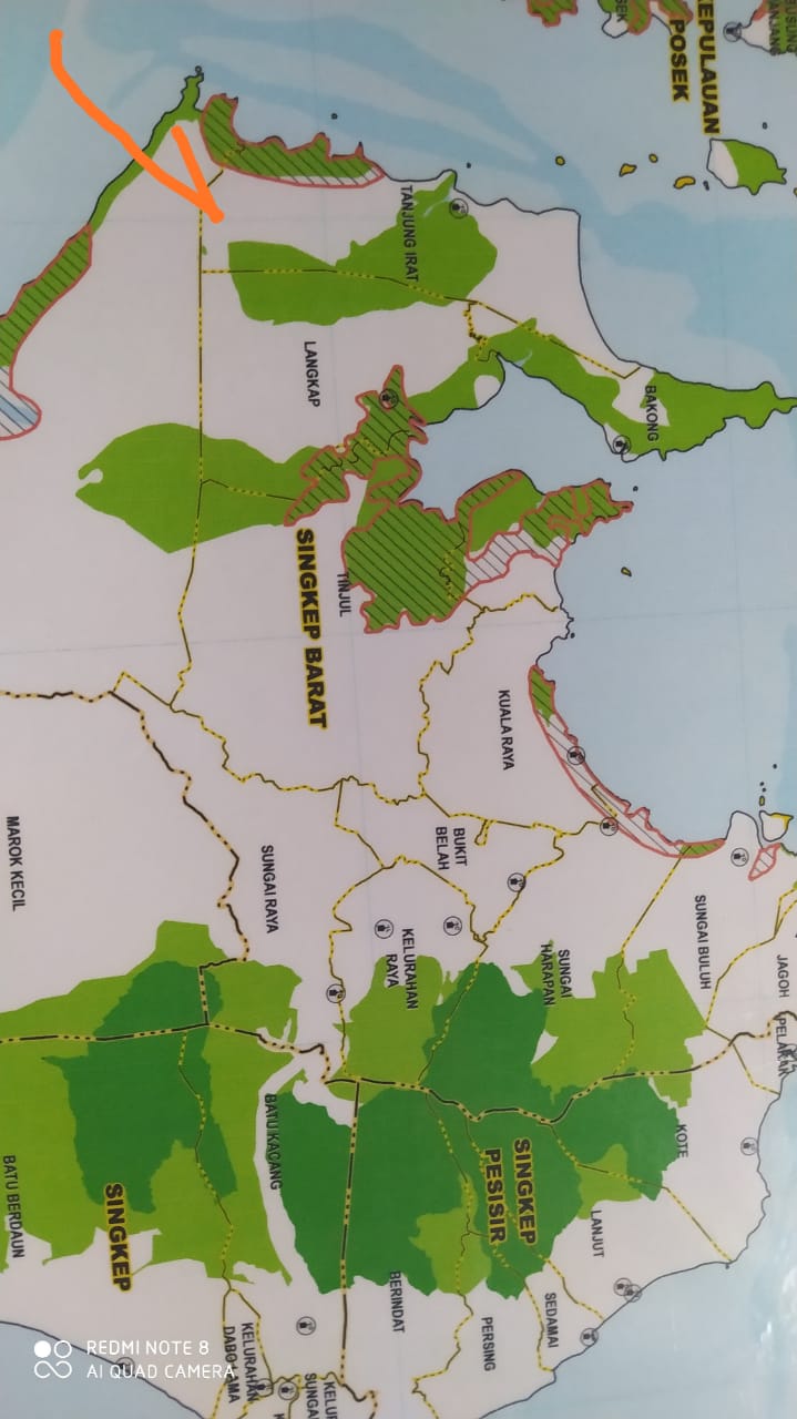 Diduga Jual Ratusan Hektar Hutan Wilayah Desa Sepadan, Ini Kata Narasymbwr dan Pjs Kades Tanjung Ira