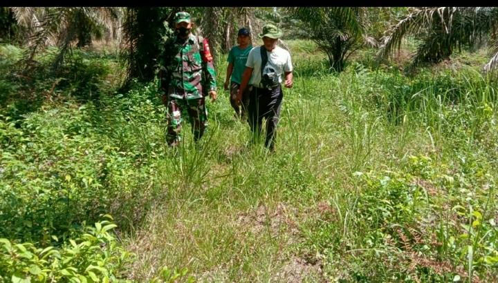 Koramil 04/PWK Tetap Laksanakan Patroli Cegah Karhutla